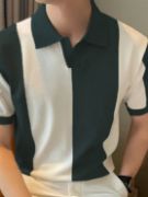Erkek Kısa Kollu Polo Yakalı Blok Desenli Triko Bluz resmi